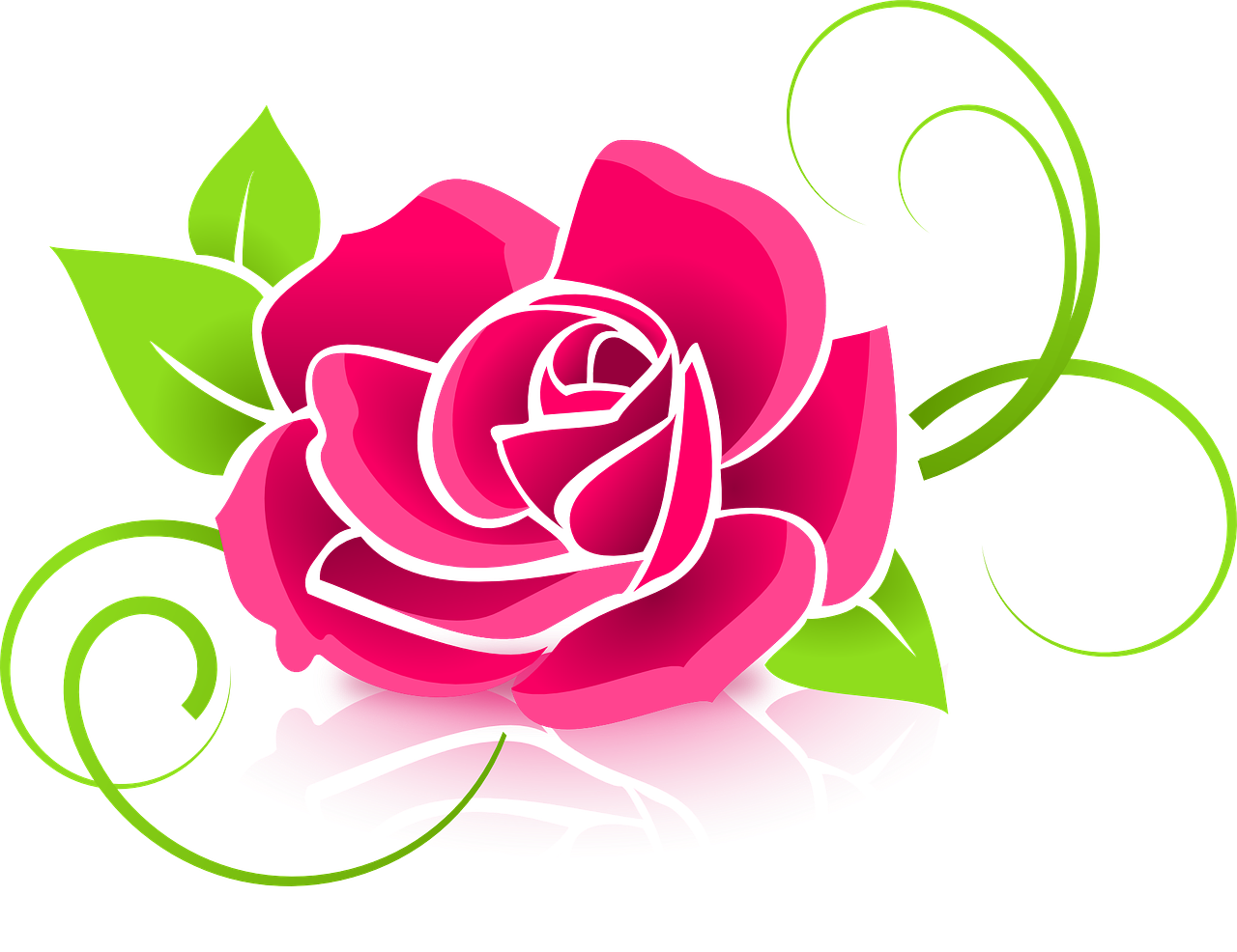 rose, graphic, flower